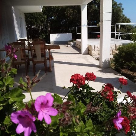 Apartman Laus Zavalatica Exterior foto