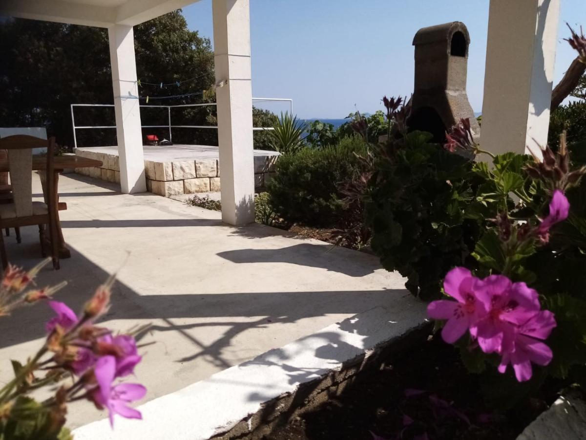 Apartman Laus Zavalatica Exterior foto